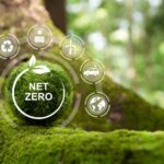 How To Create A Net Zero Action Plan & Become Carbon Neutral: A Guide For Non Profits