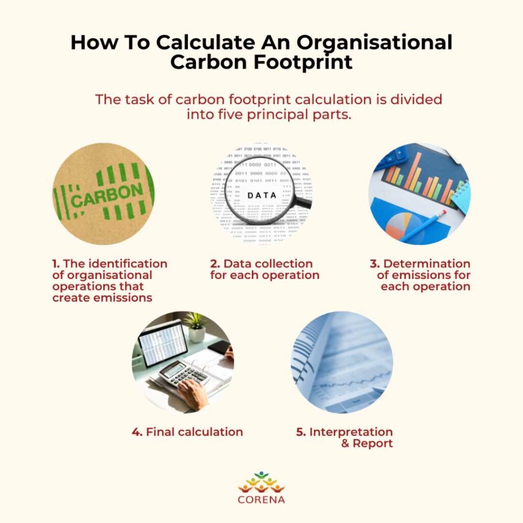 How to calculate carbon footprint infographic