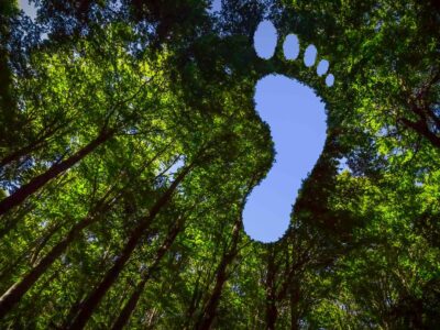 How to calculate an organisation's carbon footprint