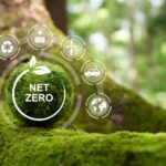 Net zero action plan - how to become carbon neutral