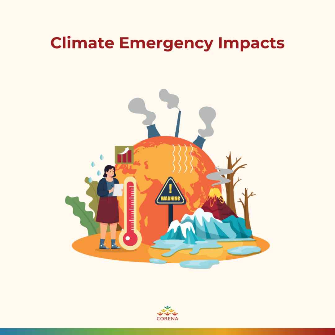 Climate Emergency Declaration: How You Can Take Action - corena ...