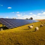 Agrivoltaics in Australia